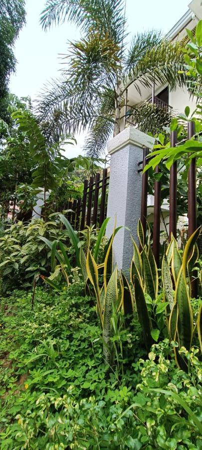 Layang Layang Home El Nido Bagian luar foto